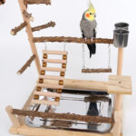 Sichuan Pepper Parrot Climbing Training Platform - Image 3