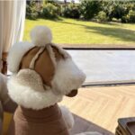 Fleece-lined Thermal And Windproof Lamb Fur Pet Hat - Image 2