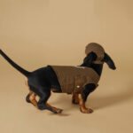 Pet Spring And Summer Sports Style Outdoor Work Clothes Vest Stain-resistant Thin Clothes - Image 4