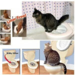 Pet Toilet Training Urinal Urine Potty - Image 3