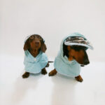 Dog Waterproof Hooded Poncho Raincoat - Image 2