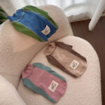 Contrast Color Sleeve Cotton Base Shirt Pet - Image 2