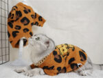 Autumn And Winter Knitted Wool Clothes For Cats And Dogs - Image 5