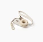 Pet Leash Macaron Ins Wind - Image 6