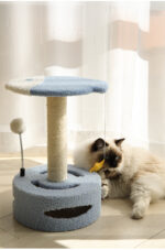 Kitten Cat Climbing Frame Small Cat Scratching Post Sisal Scratching Board - Image 4