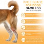 Leg Protector For Dogs Knee Brace Auxiliary Belt Joint Protection Pet Supplies Great Deal - Image 6