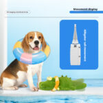 Dog Electric Sound Plush Toy For Small And Medium-sized Dogs - Image 5
