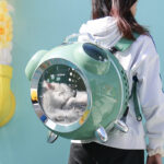 Going Out Portable Space Pet Alarm Clock Cat Bag - Image 3