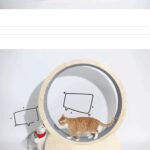Special Toys For Cat Treadmill Roller - Image 5