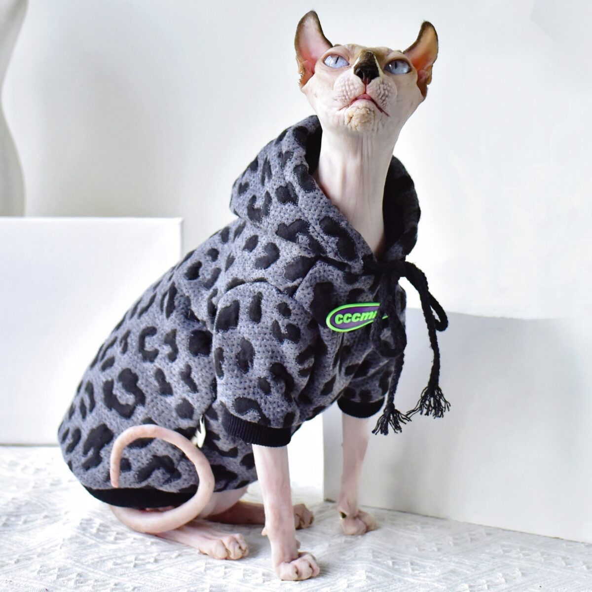 Light Pet Cotton Camouflage Sweater Hairless Cat - Image 2