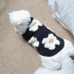 Pet Sweater Autumn And Winter Thick Warm Flowers - Image 5
