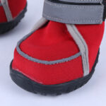 Wear Cute Pet Dog Shoes All Seasons - Image 7