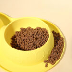 Pet Supplies Custom Non Slip Waterproof Silicone Water Food 2 In 1 Mat Pad Pet Bowls & Feeders - Image 4