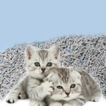 6L Activated Charcoal Mixed With Cat Litter And Tofu Residue To Deodorize - Image 2