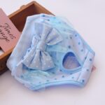 Female Dog Aunt Physiological Pants Panties - Image 4