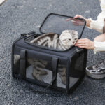 Universal Pet Bag Dogs And Cats Portable - Image 3