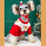 Dog Clothes Autumn And Winter Knit Sweater - Image 5