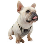 Fashionable And Personalized Dog Summer Clothes Thin Section - Image 2
