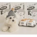 Vegetable Balls Pet Dog Hide Food Smell Sniff Plush Toy - Image 3