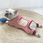 Super Soft Four-legged Clothes Small Dog Cat Sweater - Image 3