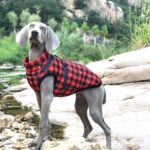 New Pet Reflective Cotton-padded Coat - Image 5