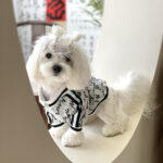 Autumn And Winter Teddy Pet Jacket Zipper Coat - Image 5