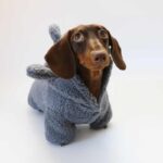 Winter Fleece-lined Warm And Cute Shark Dog Cat Pet Clothes - Image 6