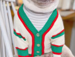 Bichon Schnauzer Cat And Dog Winter Pet Coat - Image 8