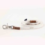 Pet Dog Hand Holding Rope Cute Bow Collar Tone - Image 4