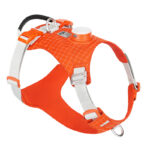 Dog Chest Harness Traction LED Outdoor Night Light - Image 5
