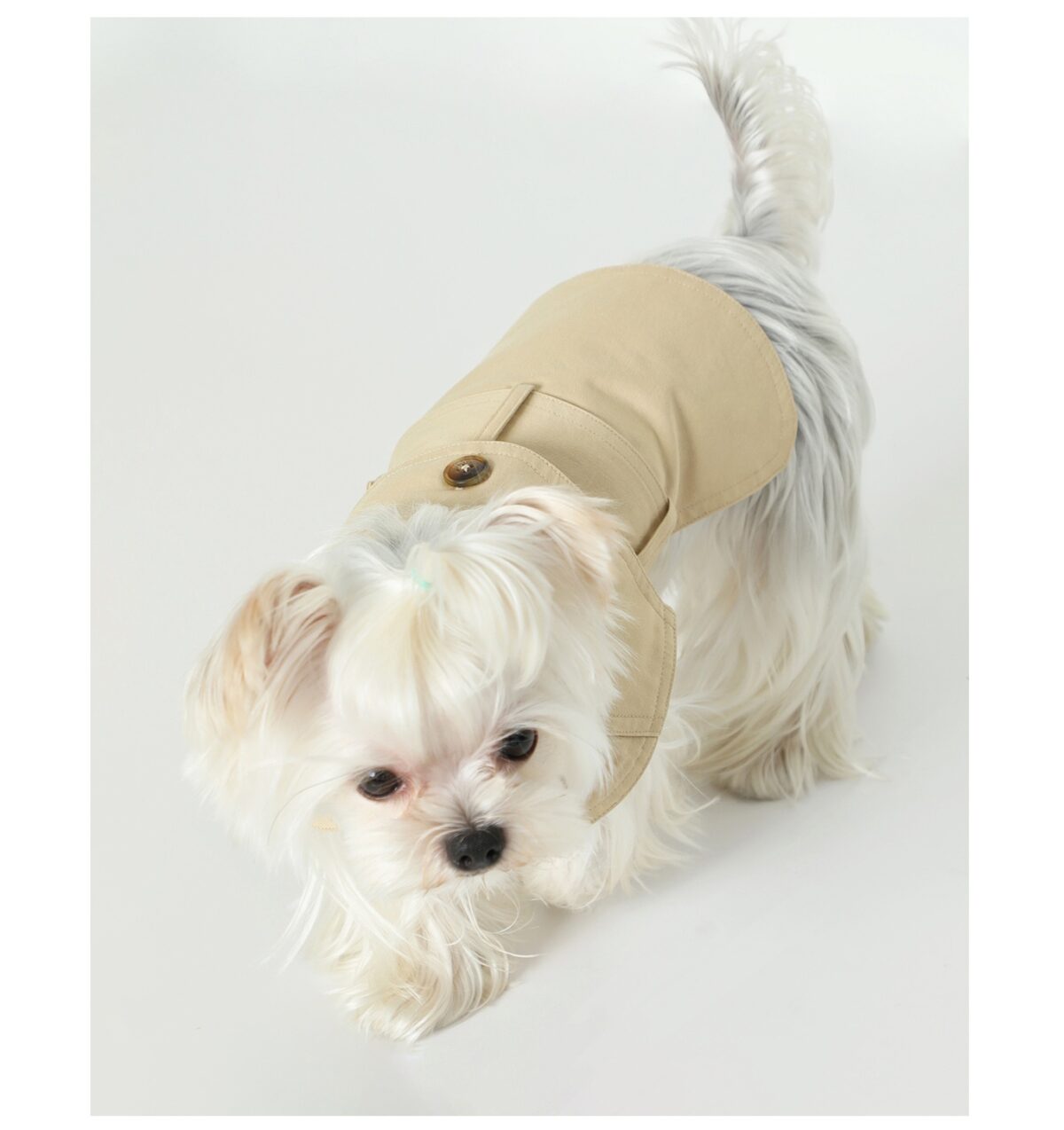 Summer Pet Clothes Dog British Trench Coat - Image 4