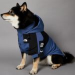 Windproof And Rainproof Large Dog Raincoat Pet Shell Jacket - Image 6