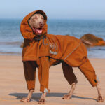 Adjustable Dog Raincoat All-inclusive Medium Large Dog Adhesive Four-leg Hooded Poncho