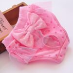 Female Dog Aunt Physiological Pants Panties - Image 5