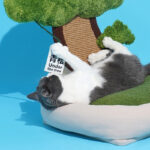 Pet Green Pine Tree Shape Cat Litter To Keep Warm Without Dropping Flakes - Image 6