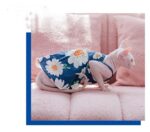 Pure Cotton Dress For Pets - Image 4
