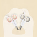 Pet Nail Clippers Professional Claw Trimmer Bended Scissor Special For Cats Kittens Dogs Puppies Small Animals