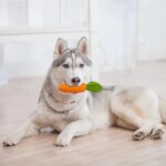 Carrot Dog Chew Toys Durable Rubber Squeaky Toy Shaped Dog Toys For Dogs Boredom Chewers Toothbrush Toy Supplies - Image 5