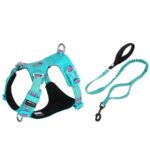 Large Pet Walking Dog Traction Rope Chest Strap - Image 5
