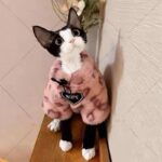 Puppy Clothes Thermal Extra Thick With Fleece Sweater - Image 4