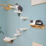 Wall-mounted Solid Wood Cat Rack Sisal Grab Post - Image 5