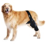Tear Protection Rehabilitation Training Belt - Image 2