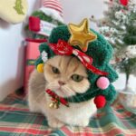 Pet Christmas Headgear Cat Dog Christmas Hat - Image 3