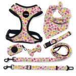 Pet Breathable Dog Harness Leash Set - Image 8