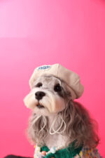 Dog Accessories Photo Concave Shape Pumpkin Hat - Image 7