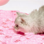 Cat Toy Hunting Cover Self-Hi Relieving Stuffy Hiding Cover - Image 2