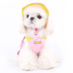 Bichon Teddy Schnauzer Traction Pet Vest Vest - Image 5
