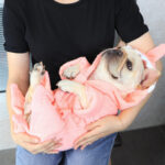 Bathing Supplies Quick Drying Absorbent Towel Pet Bathrobe - Image 4