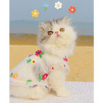 Mesh Flower Embroidery Dress Cat Clothes - Image 2