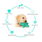 Dog Toys For Large Dogs Tooth Cleaning Chew Funny Interactive Training Starfish Toy Accessories Squeaky Toys TPR Toys - Image 5